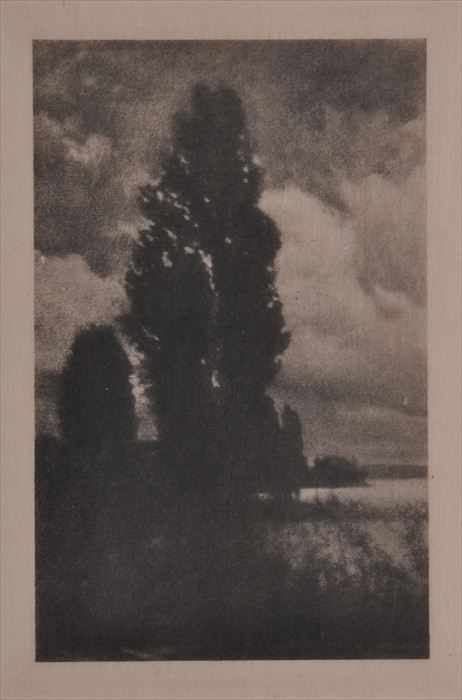 Appraisal: HANS WATZEK - POPLARS AND CLOUDS Photogravure x in sight