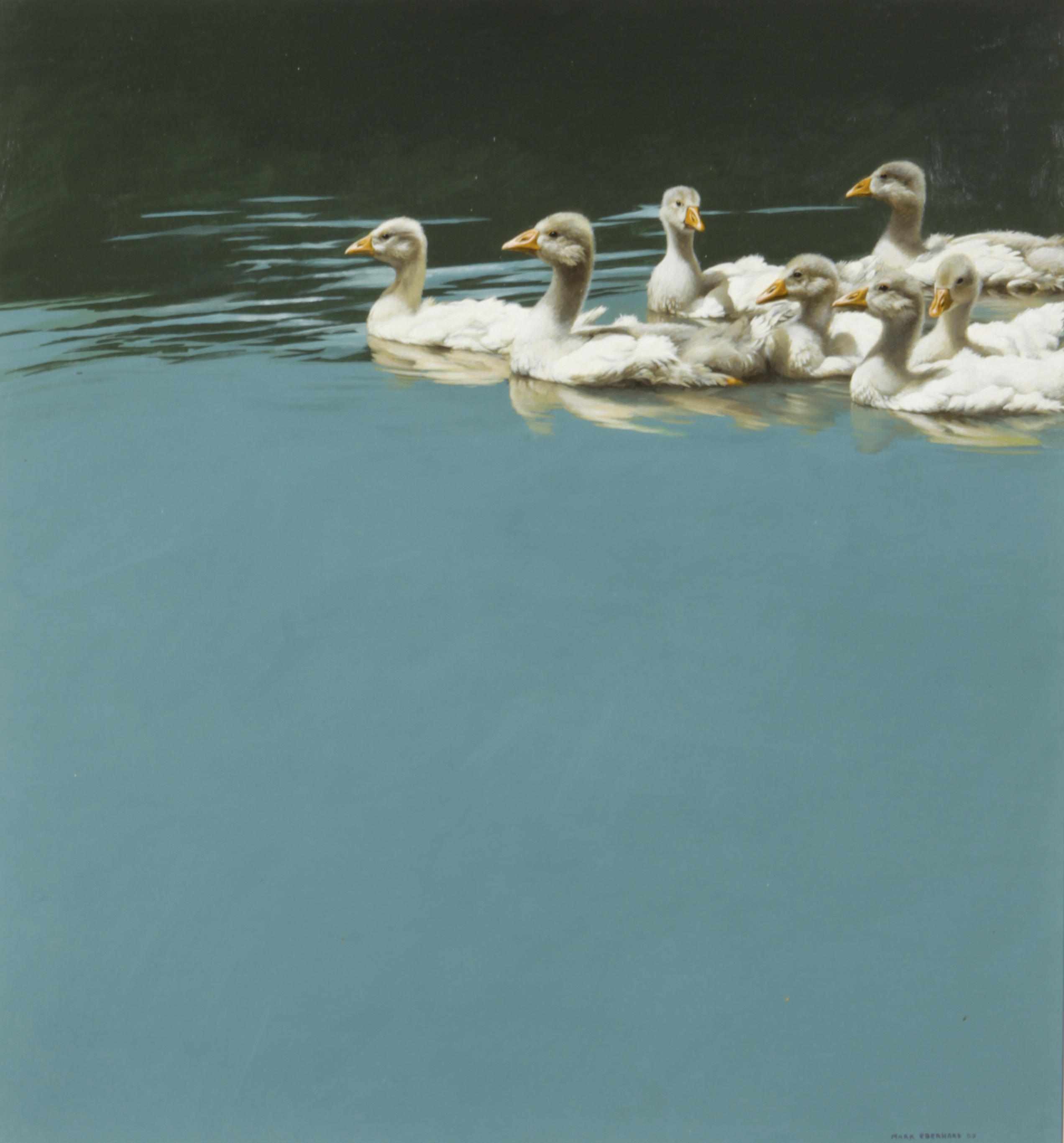 Appraisal: Mark Eberhard American born Young Geese on a Still Lake