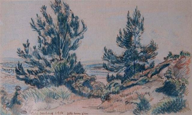 Appraisal: LUCIEN PISSARRO French - 'Cold Harbour - self sewn pines'