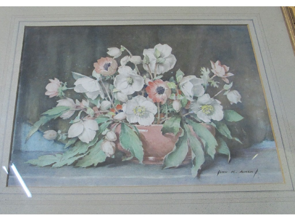 Appraisal: JOHN N AITKEN RSA RI ARE Watercolour 'Christmas Roses in