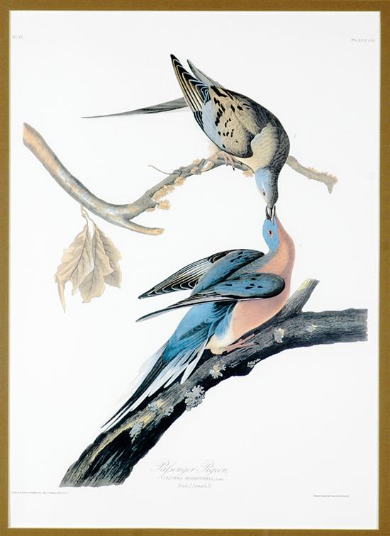 Appraisal: John James Audubon after New York - TWO WORKS MOCKING