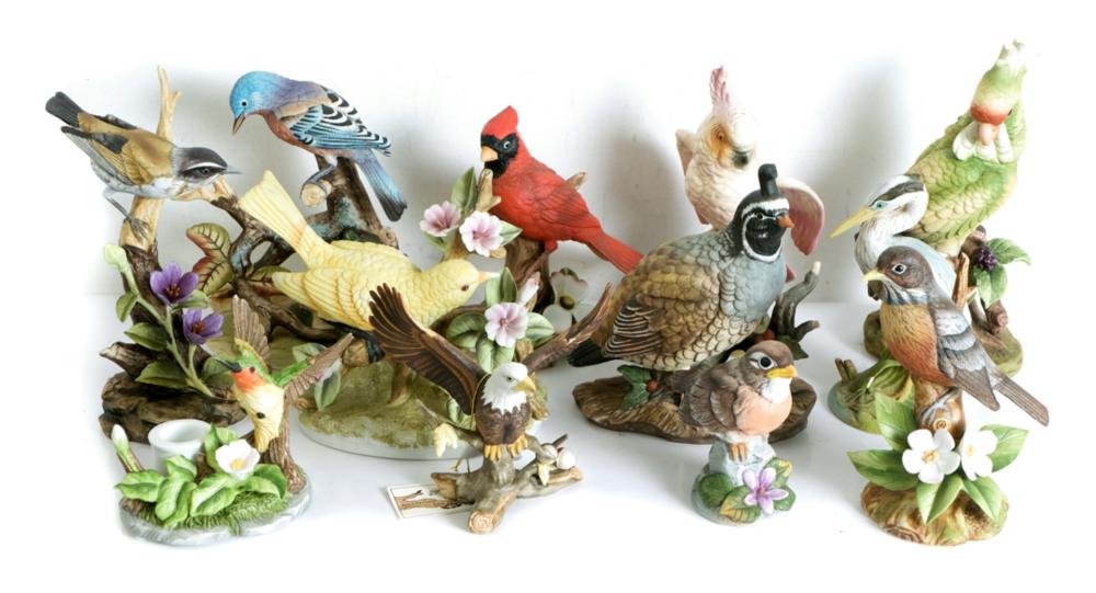 Appraisal: COLLECTION PORCELAIN ORNITHOLOGICAL FIGURINESCollection of twelve porcelain ornithological figurines comprising