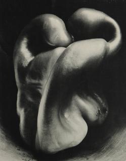 Appraisal: Photograph Edward Weston Edward Weston American - Edward Weston -