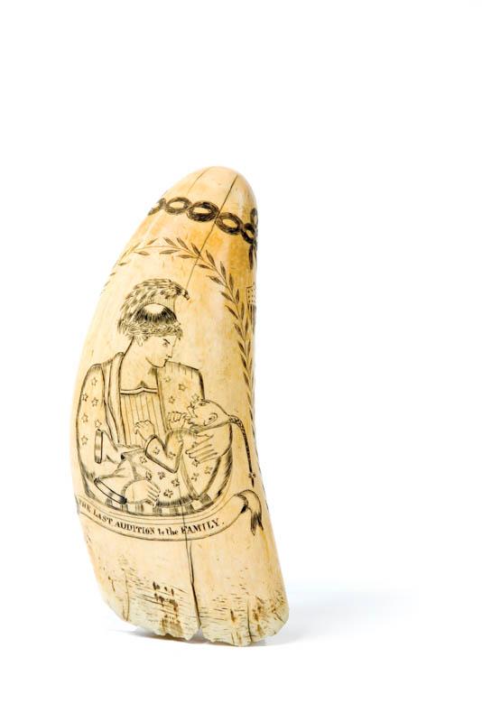 Appraisal: FINE SCRIMSHAW TOOTH American th century On the front Lady