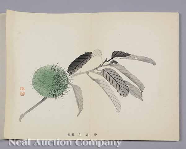 Appraisal: A Group of Japanese Illustrated Albums Meiji Period - including