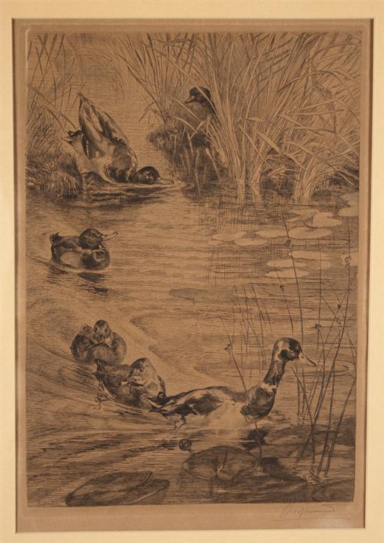 Appraisal: Felix Bracquemond French - A Family of Ducks etching signed