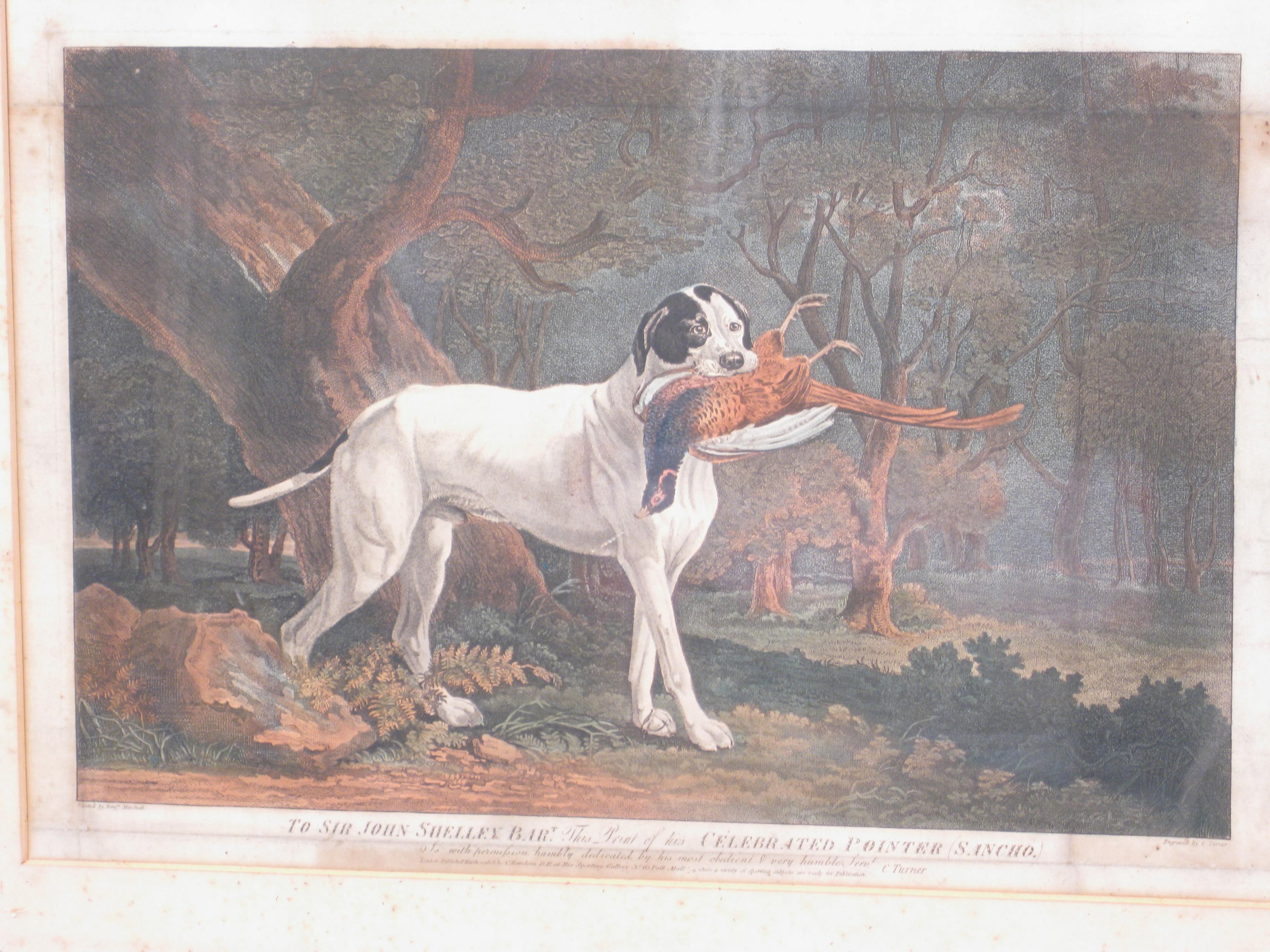 Appraisal: AFTER BENJAMIN MARSHALL The Celebrated Pointer 'Sancho' coloured engraving by