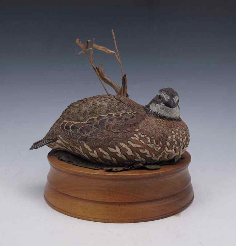 Appraisal: JACK FRANCO CARVED WOOD BOBWHITE BIRD FIGURE Carved and painted