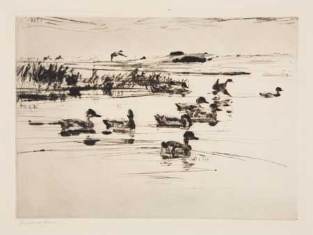 Appraisal: FRANK W BENSON Teal Drypoint x mm x inches full