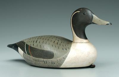 Appraisal: Pintail drake decoy attributed to Joe Lincoln in Scattered areas