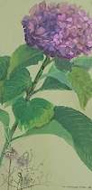 Appraisal: Ivy Goldhamer Stone American born Hydrangea Acrylic on canvas signed