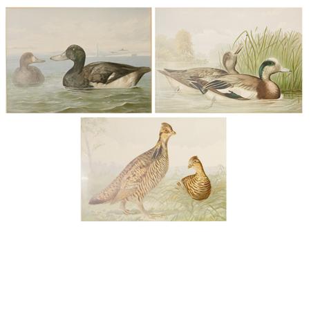 Appraisal: Alexander Pope PINNEATED GROUSE THE SCAUP DUCK THE WIDGEON Three