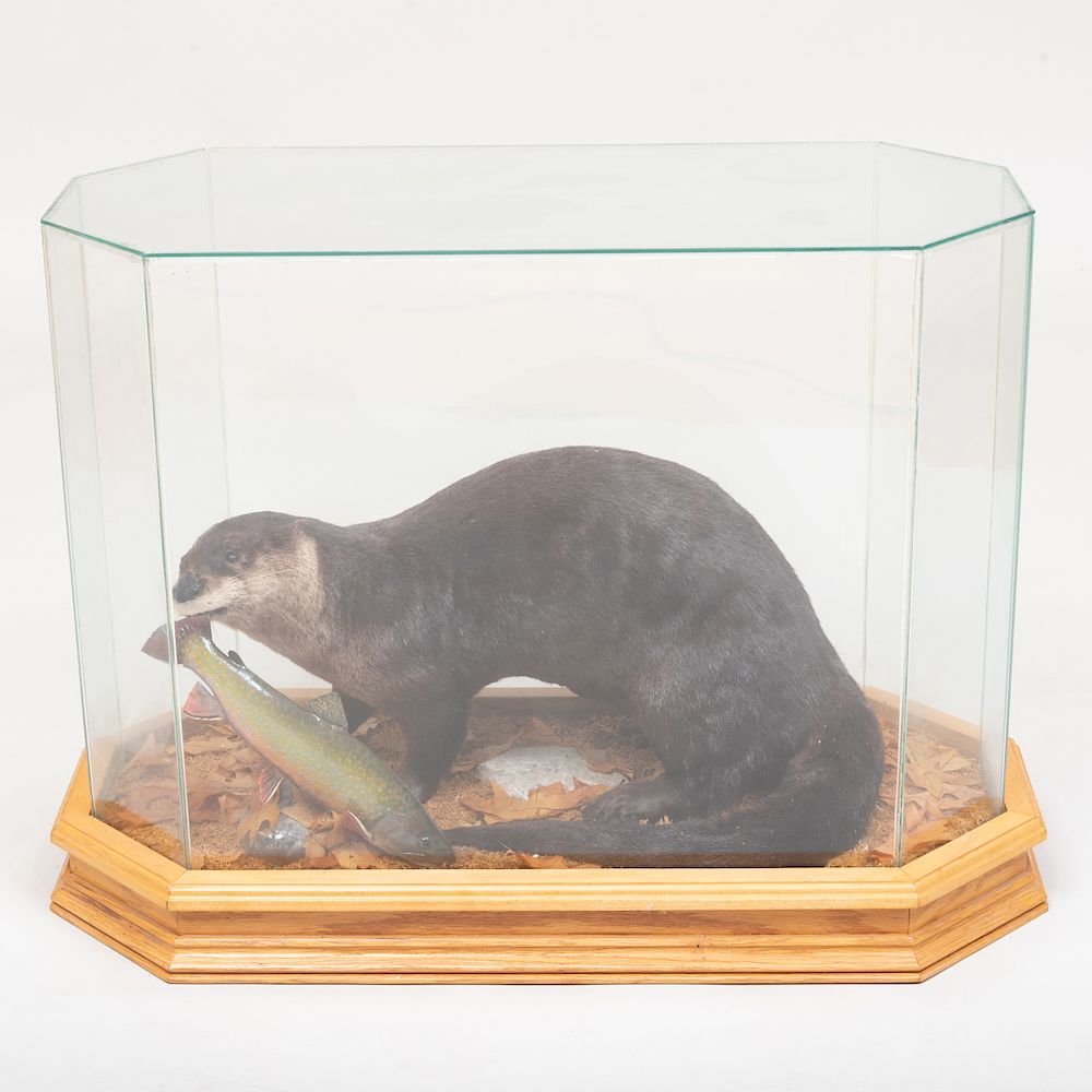 Appraisal: Taxidermy Model of an Otter with Fish In a fitted