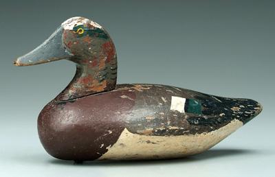 Appraisal: Chesapeake Bay canvasback decoy - in Old repaint with scuffs