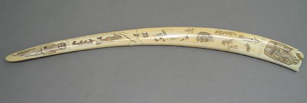 Appraisal: A scrimshaw walrus tusk Later decorated with various artic scenes