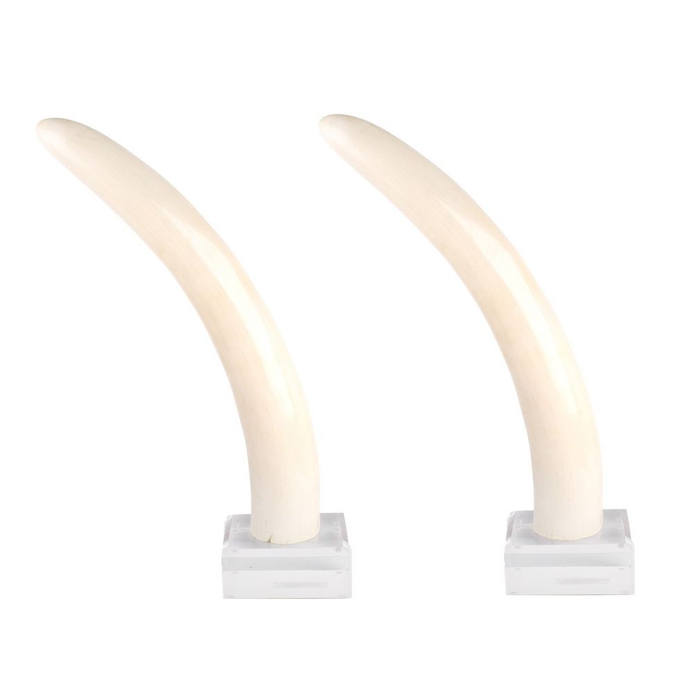 Appraisal: Ivory Tusks Pair of Large Ivory Tusks Mounted on Lucite