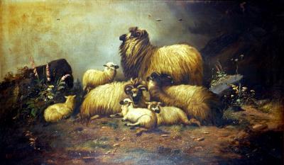 Appraisal: A MORRIS Sheep Resting in a Highland Setting signed and