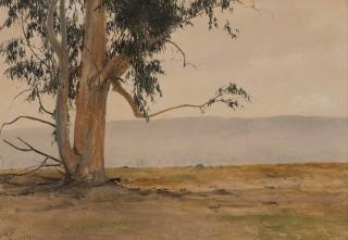 Appraisal: Lockwood de Forest Eucalyptus landscape signed and dated lower left