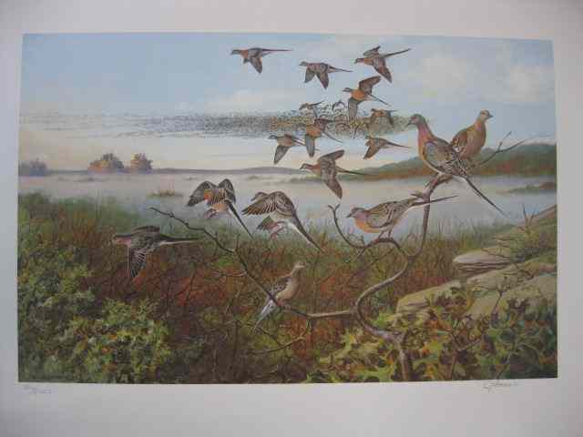 Appraisal: Owen J Gromme Print ''Distant Thunder -Passenger Pigeons'' image area