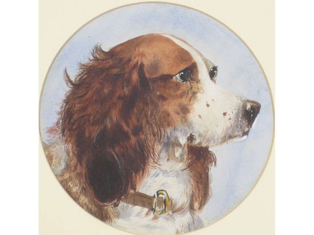 Appraisal: ATTRIBUTED TO THOMAS EARL Head of a Spaniel bears signature