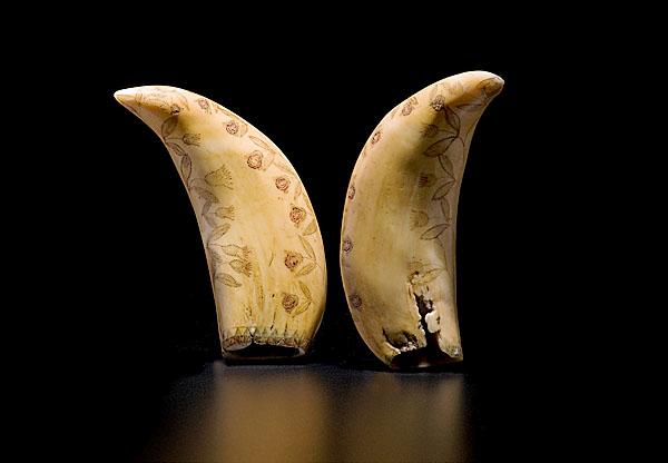 Appraisal: FLORAL SCRIMSHAWED WHALE'S TEETH American Nantucket Island Massachusetts A pair