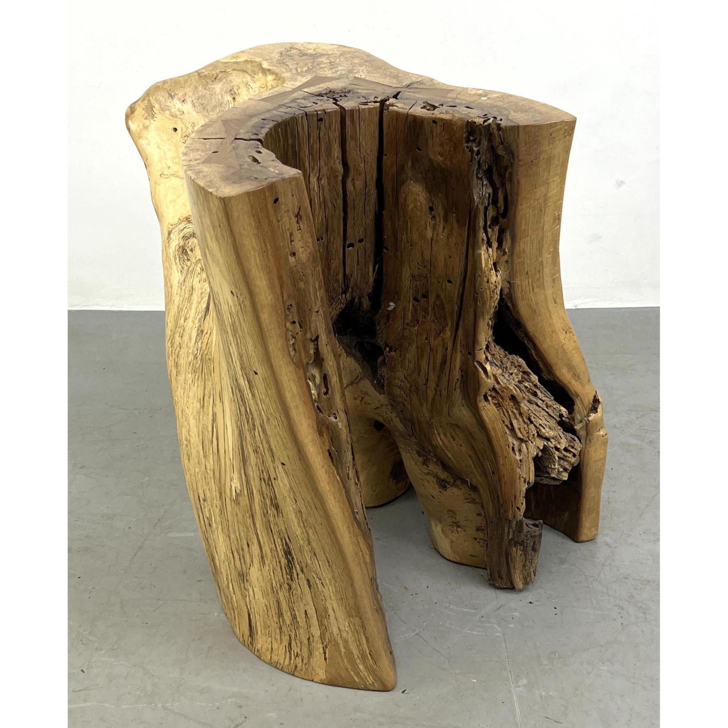 Appraisal: Large Natural Tree Trunk Table Pedestal Hollow tree trunk with