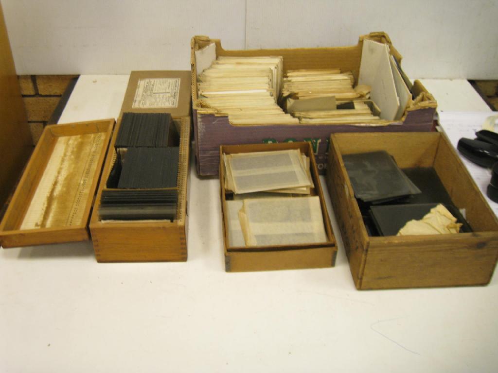 Appraisal: A quantity of Glass Negatives on Natural History etc