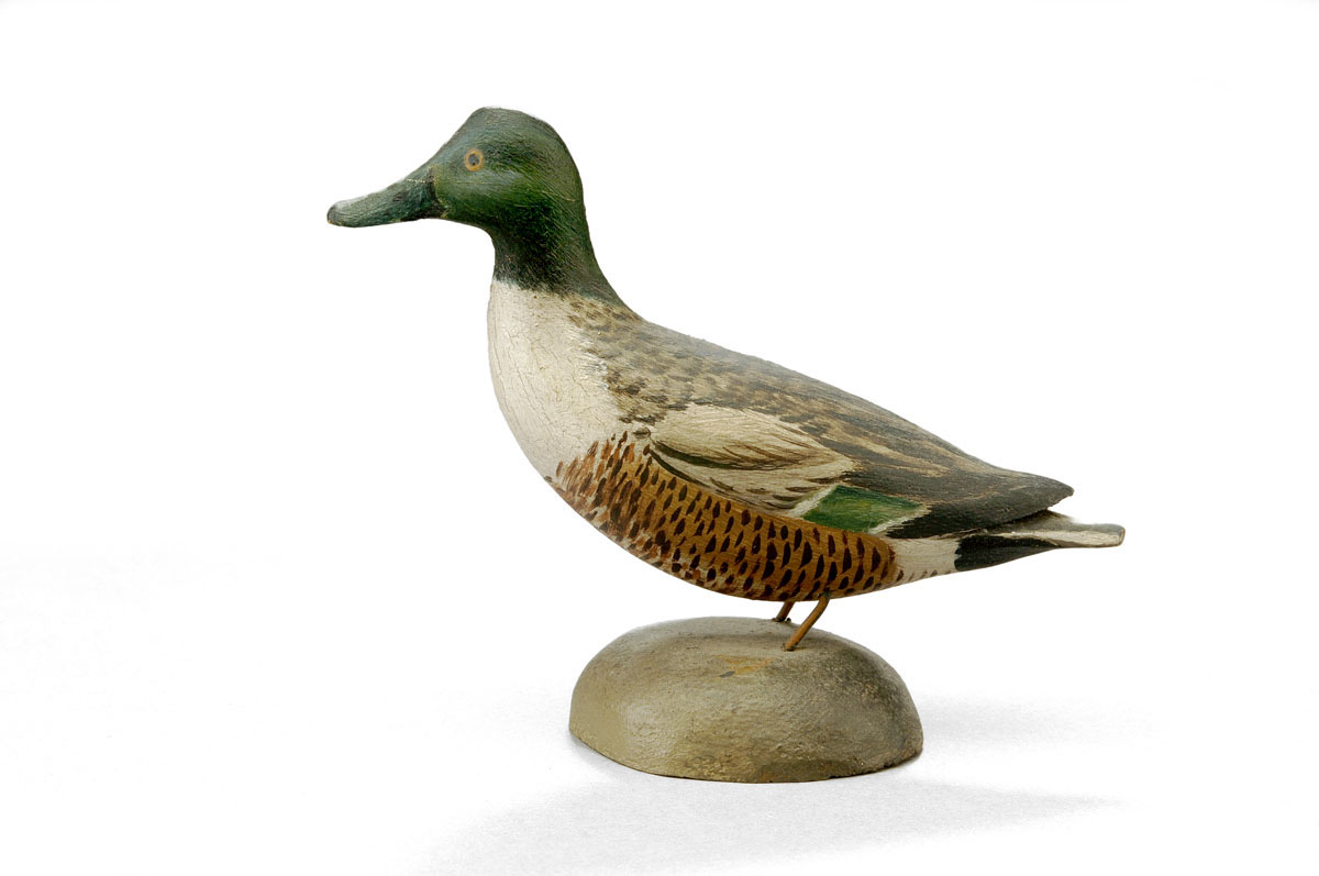 Appraisal: A ELMER CROWELL - CARVED AND PAINTED SHOVELER DRAKE CIRCA