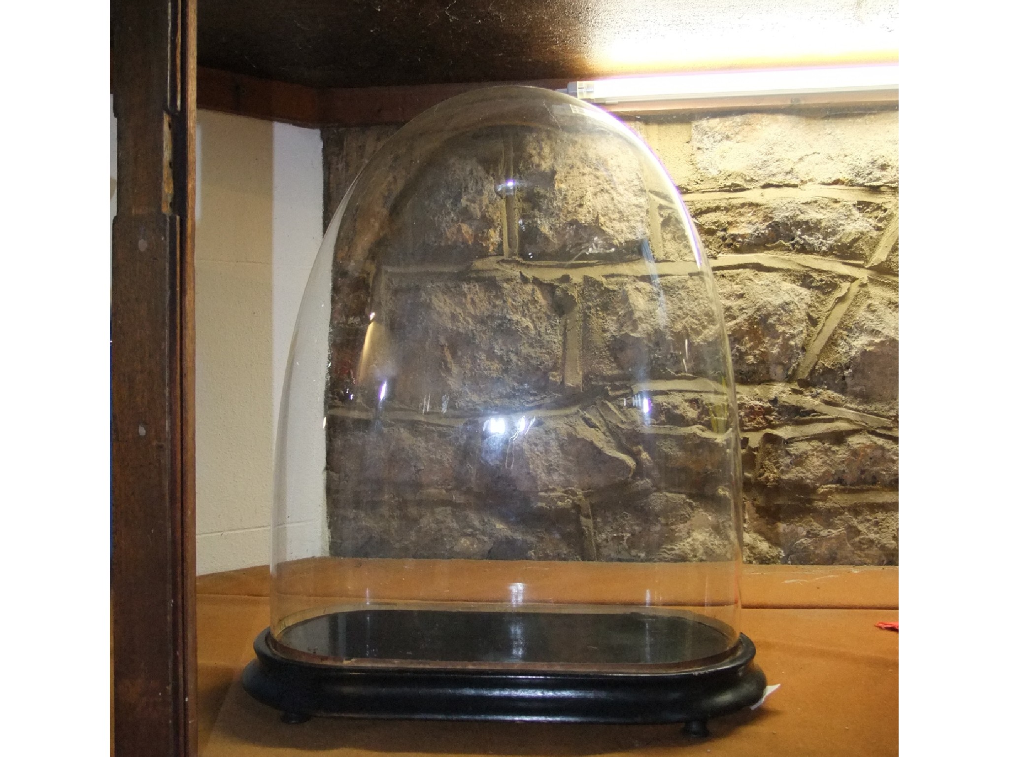 Appraisal: A large clear glass taxidermy display dome of oval form