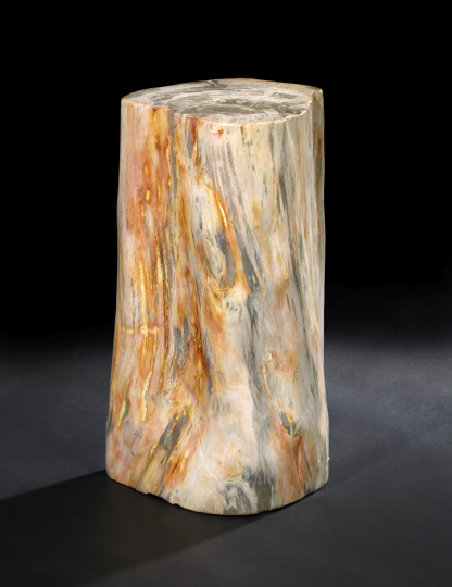 Appraisal: Narrow Petrified Wood Trunk Section the partial trunk cut as