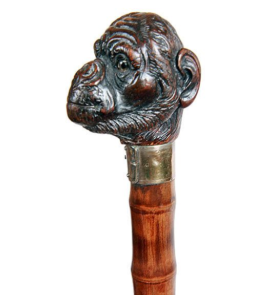 Appraisal: English Monkey Cane Ca - A finely carved monkey's head