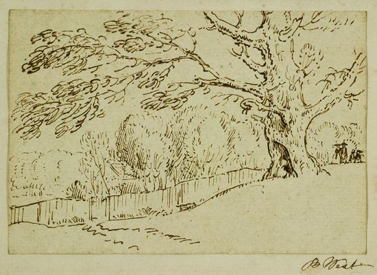 Appraisal: Benjamin West - Study of a tree Pen and inkSigned