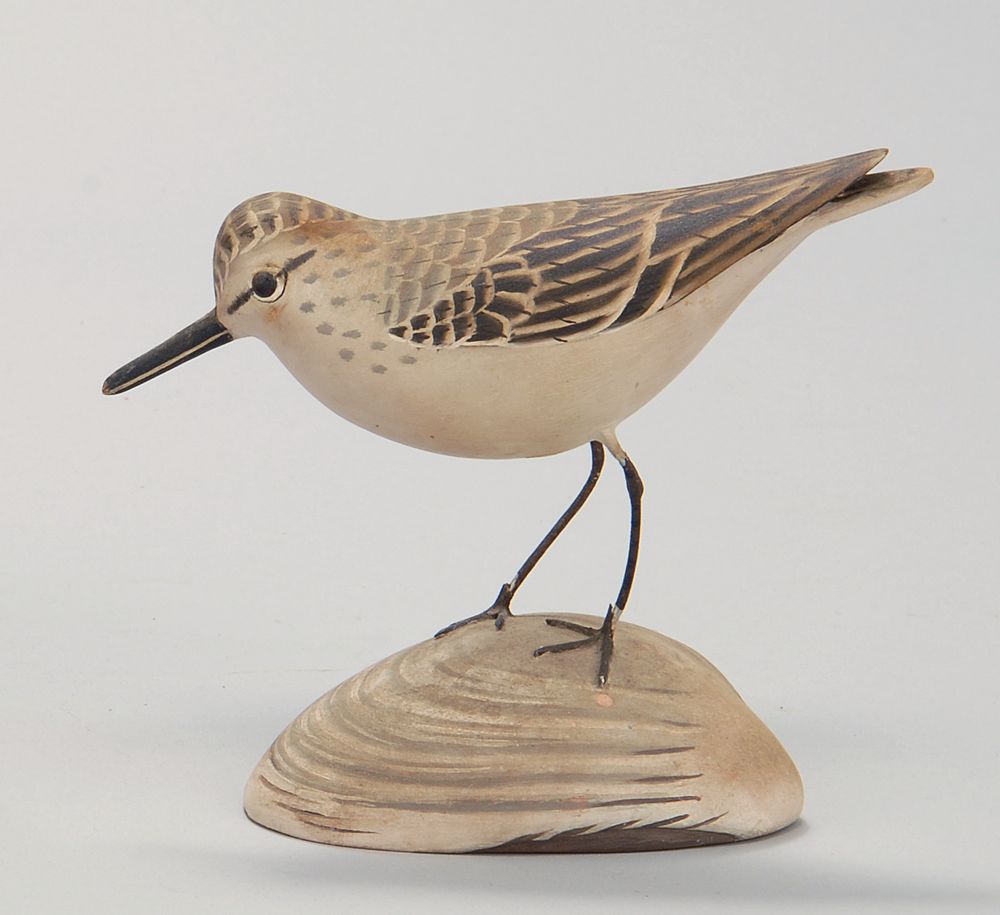 Appraisal: LIFE-SIZE SANDERLING In standing form By James Lapham of Dennisport