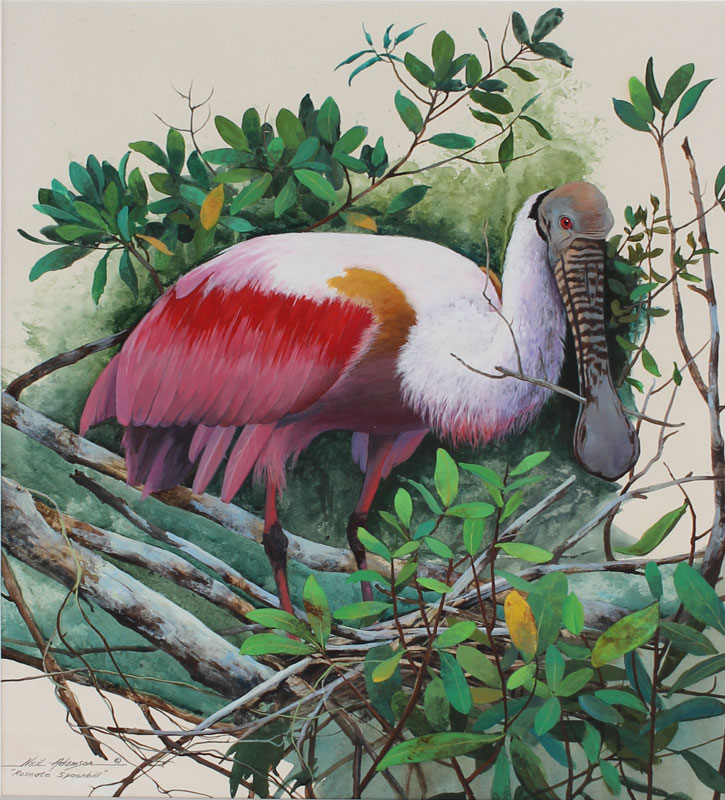 Appraisal: ADAMSON Neil American th Century ''Roseate Spoonbill'' Acrylic Board site