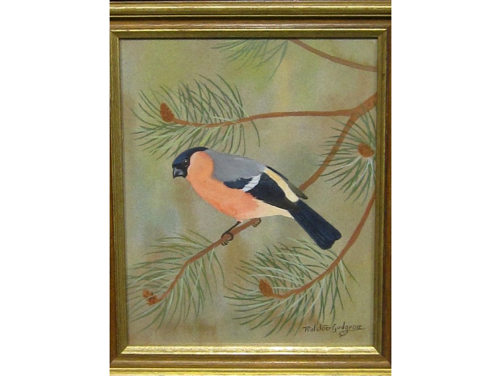 Appraisal: RALSTON GUDGEON RSW Watercolour 'Bullfinch' signed