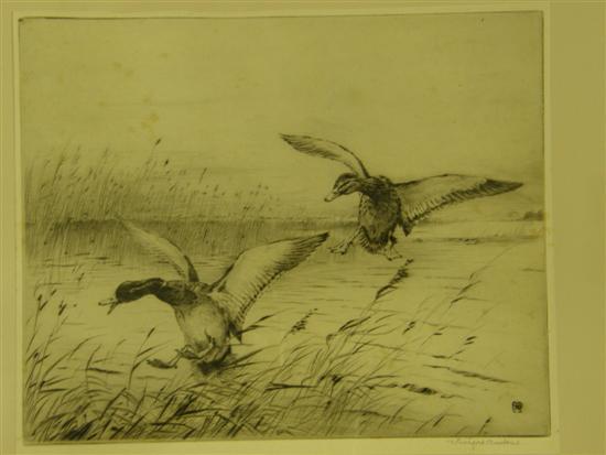 Appraisal: Winifred Austen etching ducks landing on a pond signed in