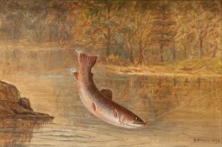 Appraisal: Asa Coolidge Warren - Brook Trout on Fly signed and