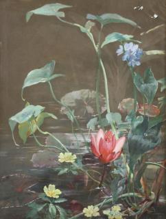 Appraisal: MUSSILL William Gouache on Paper Lily Pond Signed lower left