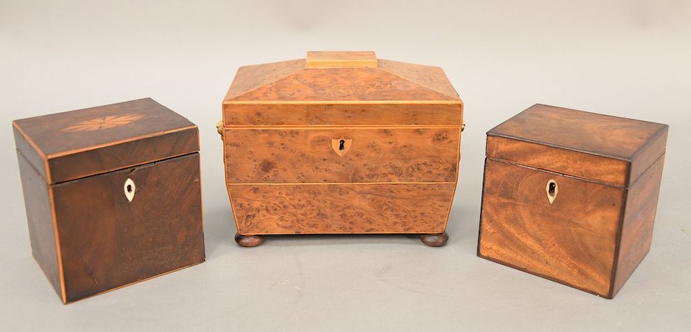 Appraisal: Group of three teaboxes burl teabox with lion head handles