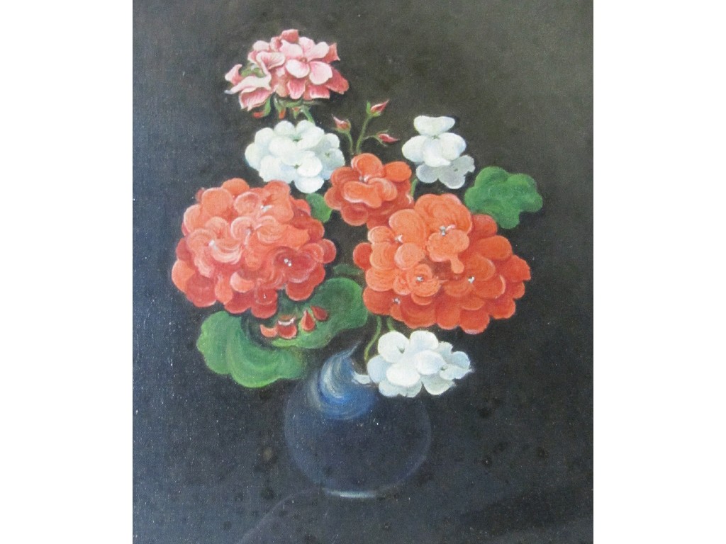 Appraisal: Oil on canvas 'Pelargoniums' unsigned