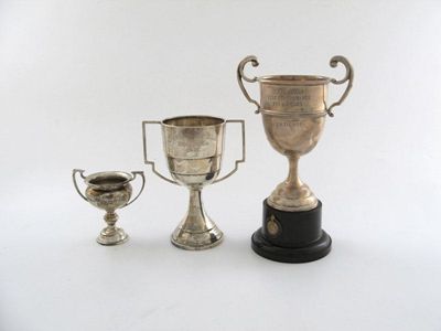 Appraisal: A collection of seventeen silver trophy cups various forms dates