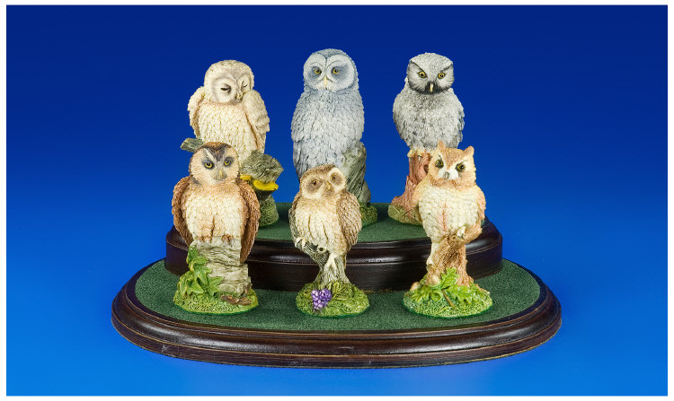 Appraisal: Royal Doulton Owls of the World Series owls and display