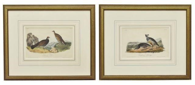 Appraisal: lot of Framed hand-colored ornithology lithographs on paper from the