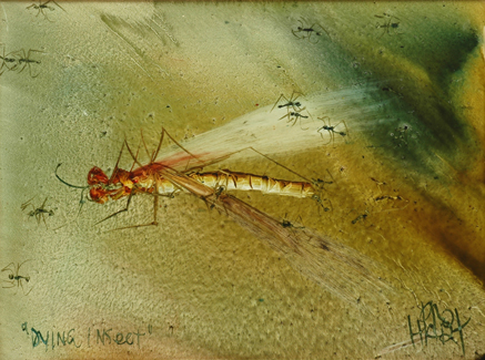 Appraisal: Pro Hart - Dying Insect oil on board signed 'Pro