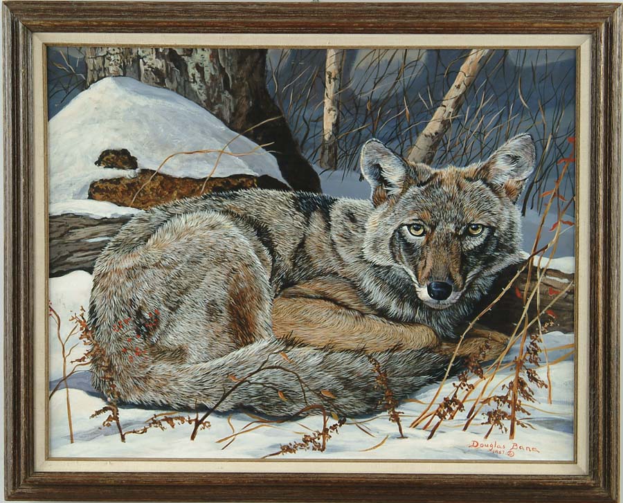 Appraisal: DOUGLAS BANE American th C COYOTE Oil on masonite shows