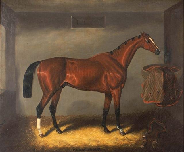 Appraisal: SAMUEL SPODE Act - - Portrait of the racehorse 'Caractacus'