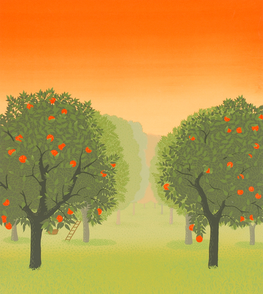 Appraisal: Anne Graham - Orange Grove screenprint ed A P x