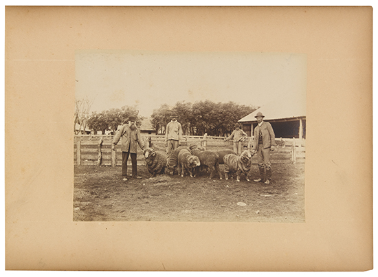 Appraisal: ARGENTINA Samuel Boote Hermanos Co Album of photographs titled Vistas