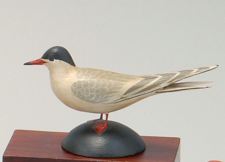 Appraisal: MINIATURE TERN By James Lapham of Dennisport Massachusetts Mounted on