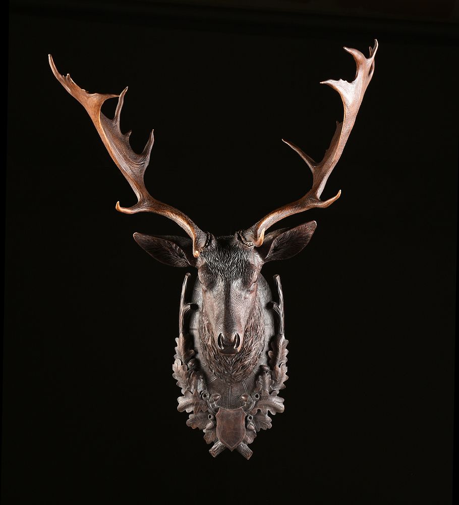 Appraisal: A BLACK FOREST CARVED WALNUT STAG'S HEAD WITH TROPHY ANTLERS